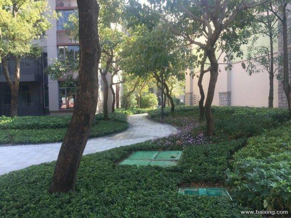 雅居乐山海郡 单价1.2万起 深中通道直达站 连接